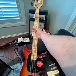 Brand new Mustang PJ