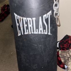 Everlast Punching Bag Never Used Sat In Garage For Years 