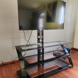Insignia 📺 TV & TV Rack