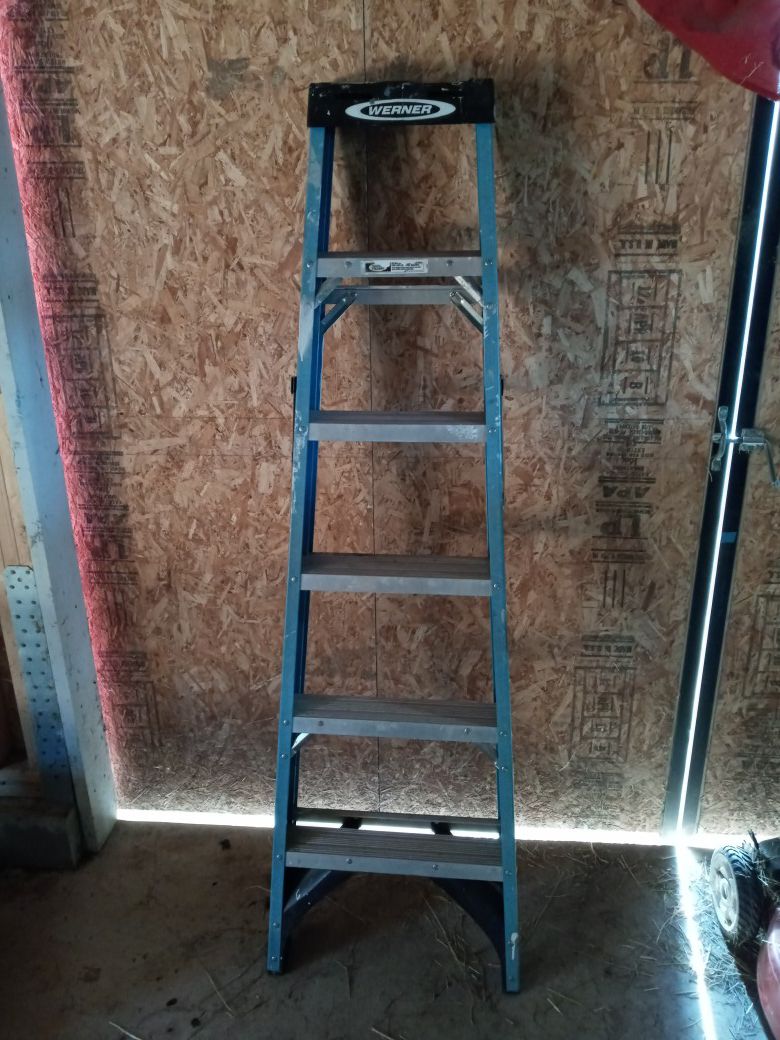Werner 5 step ladder blue