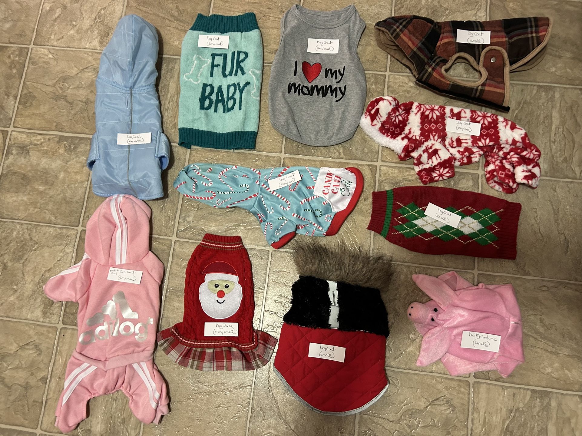 $2 for Each Dog Outfit