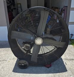 Fan