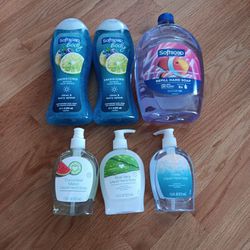 6 For $15 Softsoap Bodywash And Handsoap 