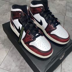 Jordan N Dunk 