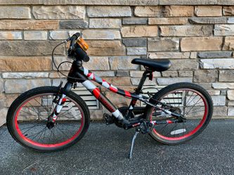 Guardian 20 Inch Bike