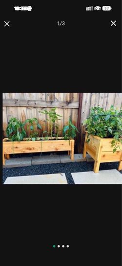 New cedar planters
