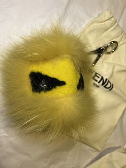 Fendi Bag Big
