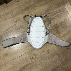 Dainese Snowboarding & Motorcycle Back Protector