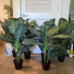 6 faux house plants 