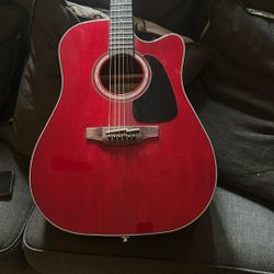Takamine 6string Gd30 