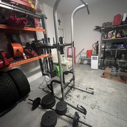 Weights And Pull Up And Dip Bench