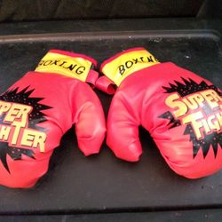10 oz Kids Boxing Gloves.