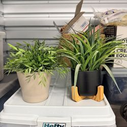 Fake Plants 