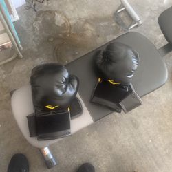 Boxing Gloves Everlast
