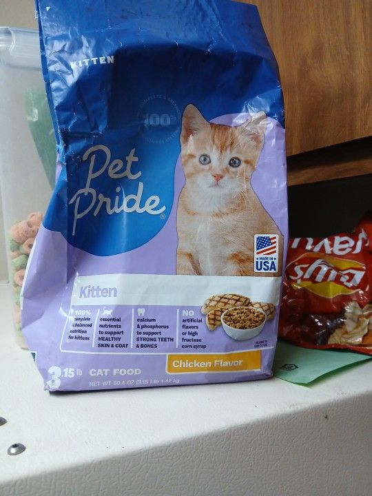 Free Cat And Stuff