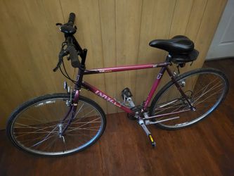 Univega Via Carisma Chromoly Bike
