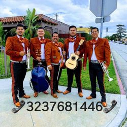 Vihuela Violín Mariachi 