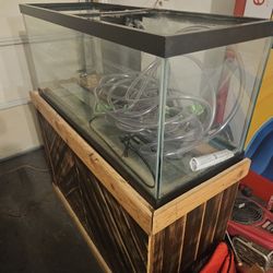 Aquarium And Custom Built Stand