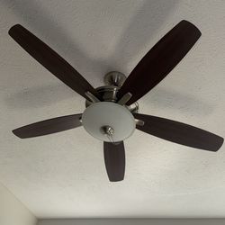 Ceiling light 52inch