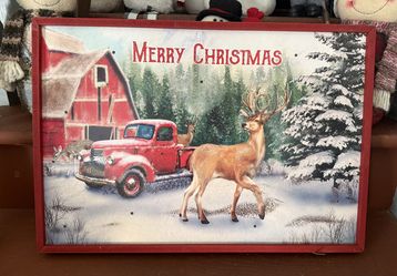 Light Up Christmas Picture 