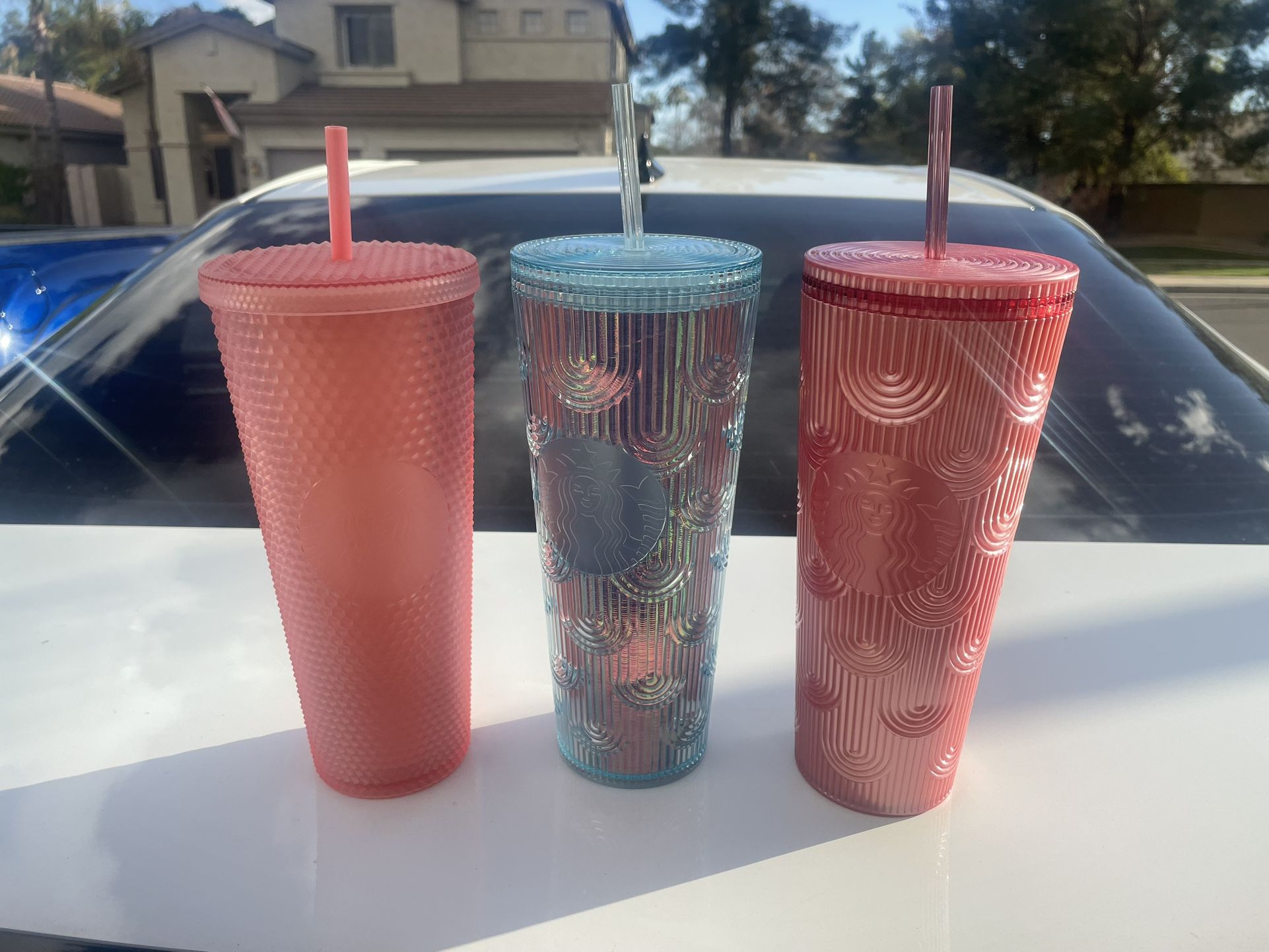 Starbucks Cups