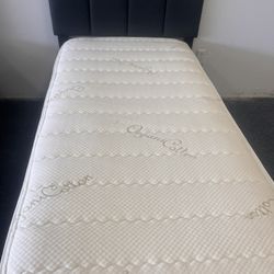 Twin Mattress Size 
