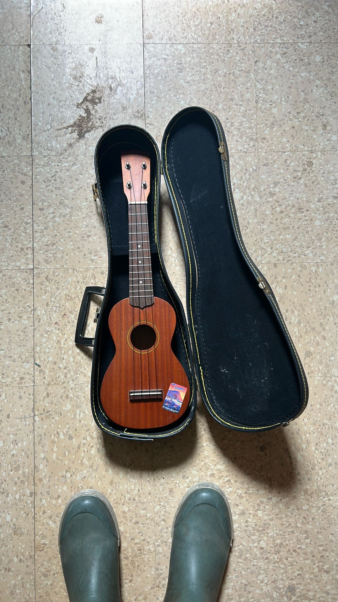 Ukelele