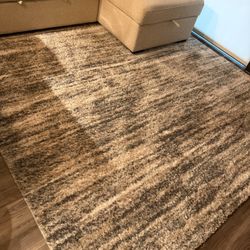 Beige Rug