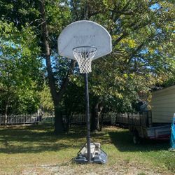 Basketball Hoop 
