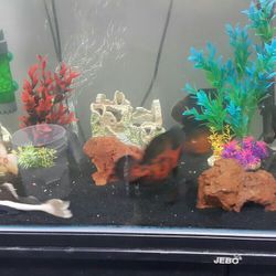 FISH TANK 