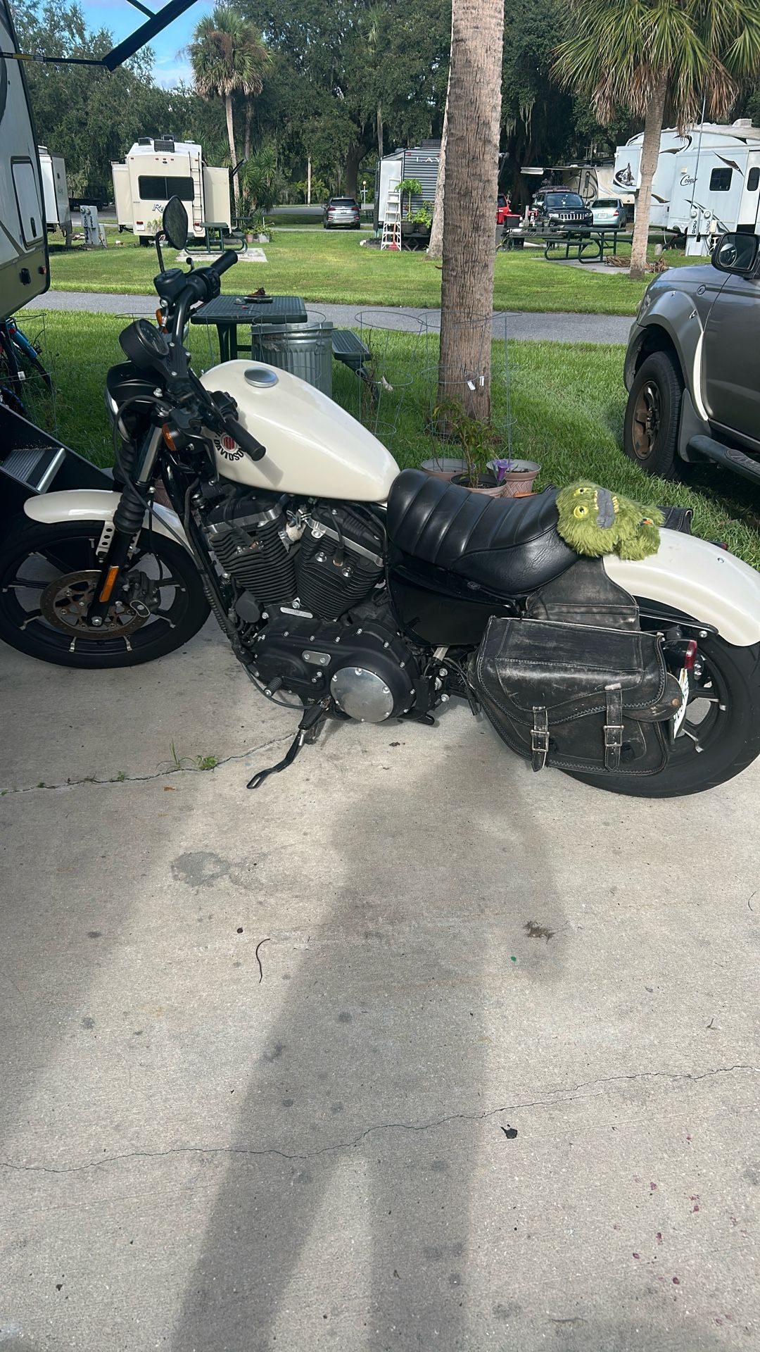 2022 Harley Davidson 883 sportster