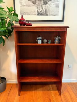 Beautiful Traditional Wood Bookcase – $300