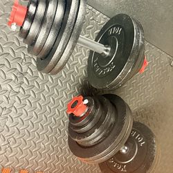 Beast/Smooth Set of Cast Iron Adjustable Dumbbells Yes4All.  Brute W: 150 pounds