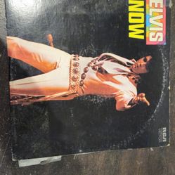 Elvis Record 