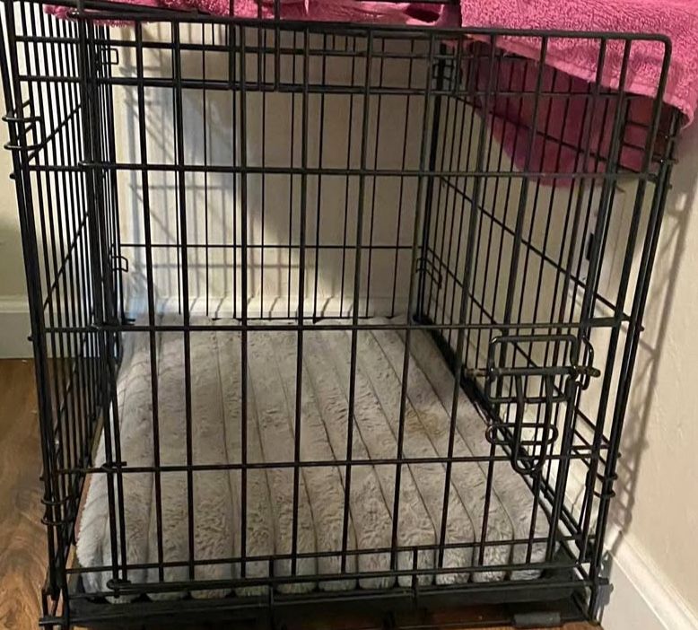 Medium Crate