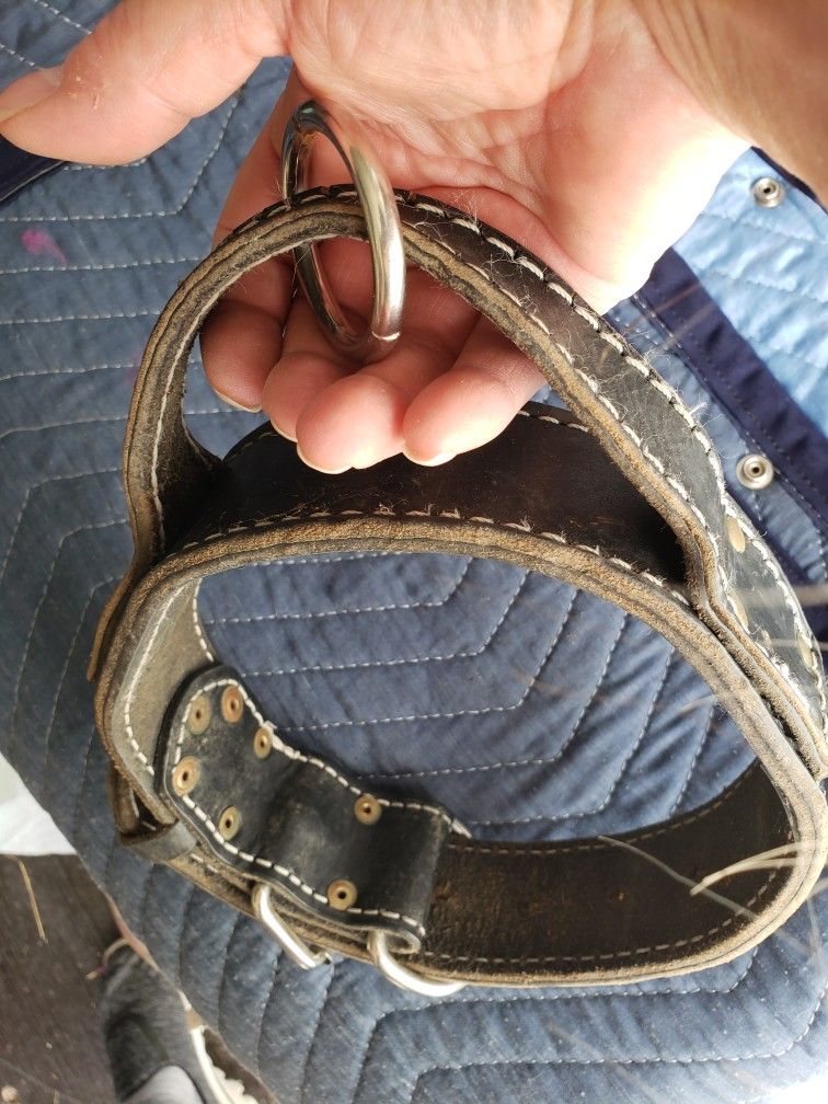Agitation Collar 