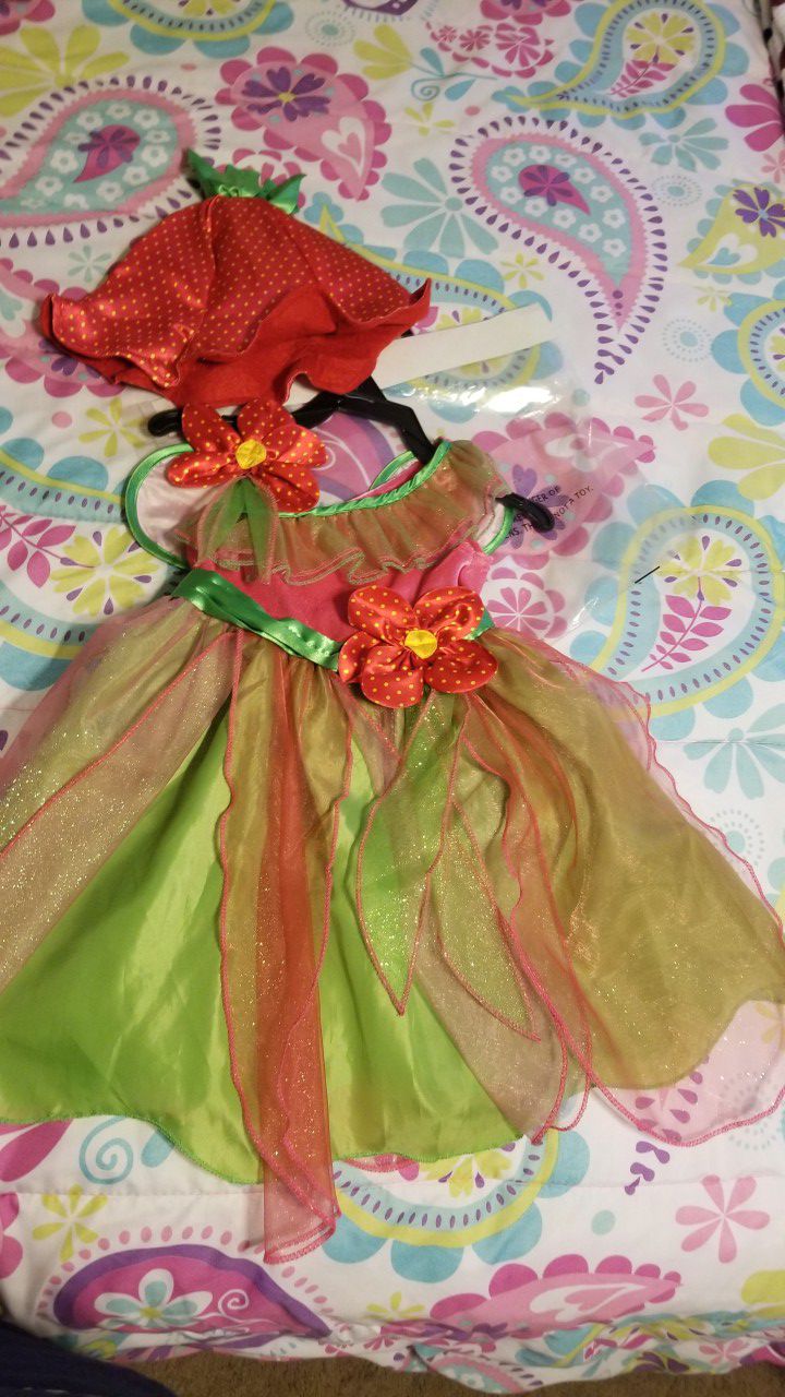Garden fairy costume size t2