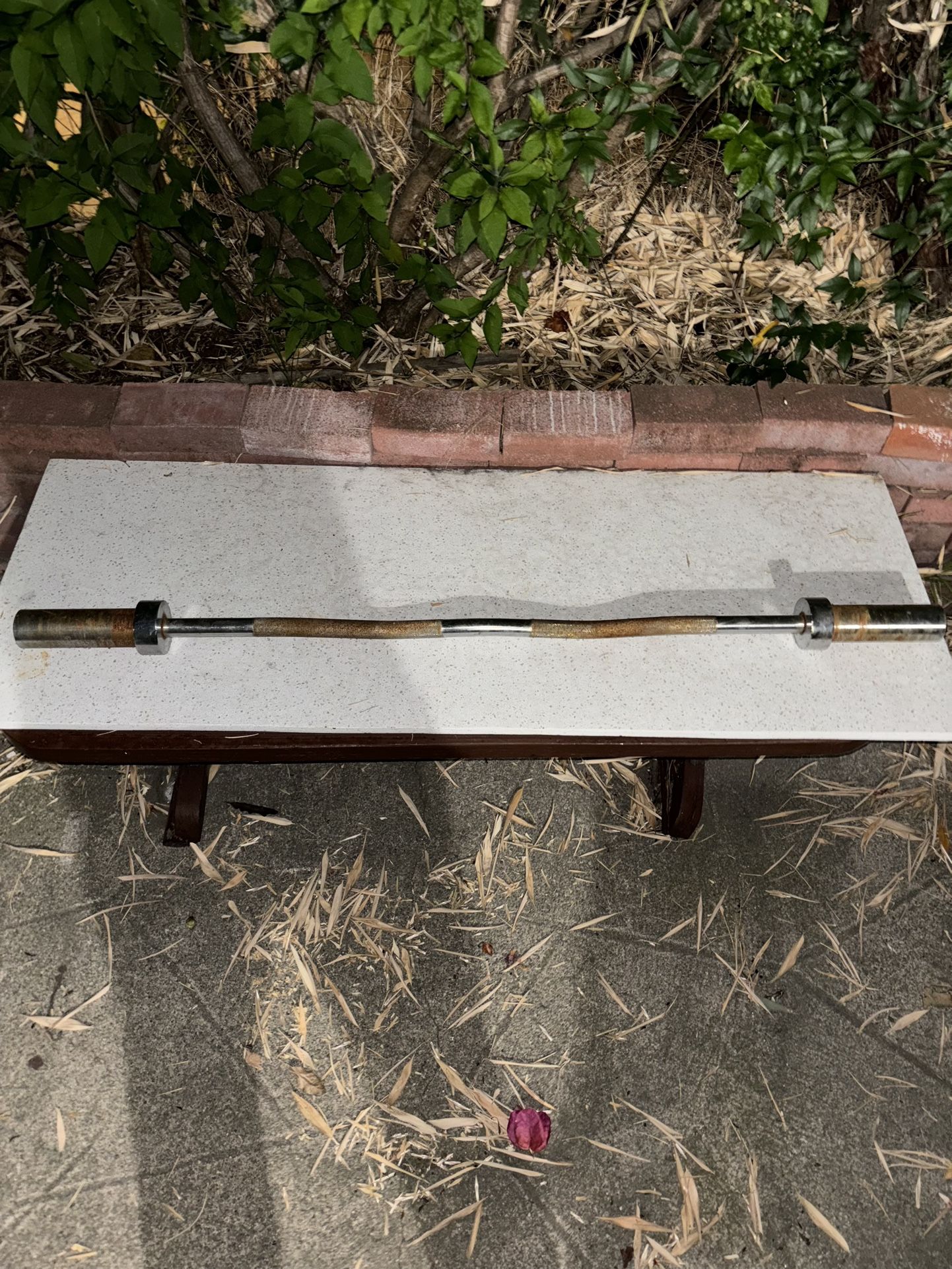 Olympic Curl Bar