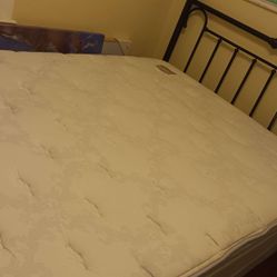 Queen Size Bed $400 obo