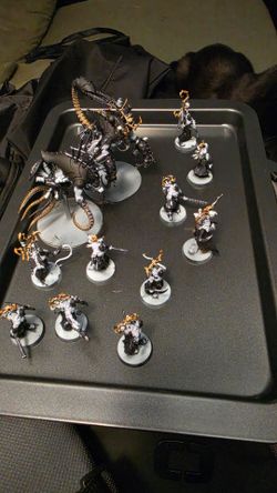 Drukhari Combat patrol +10th edition codex