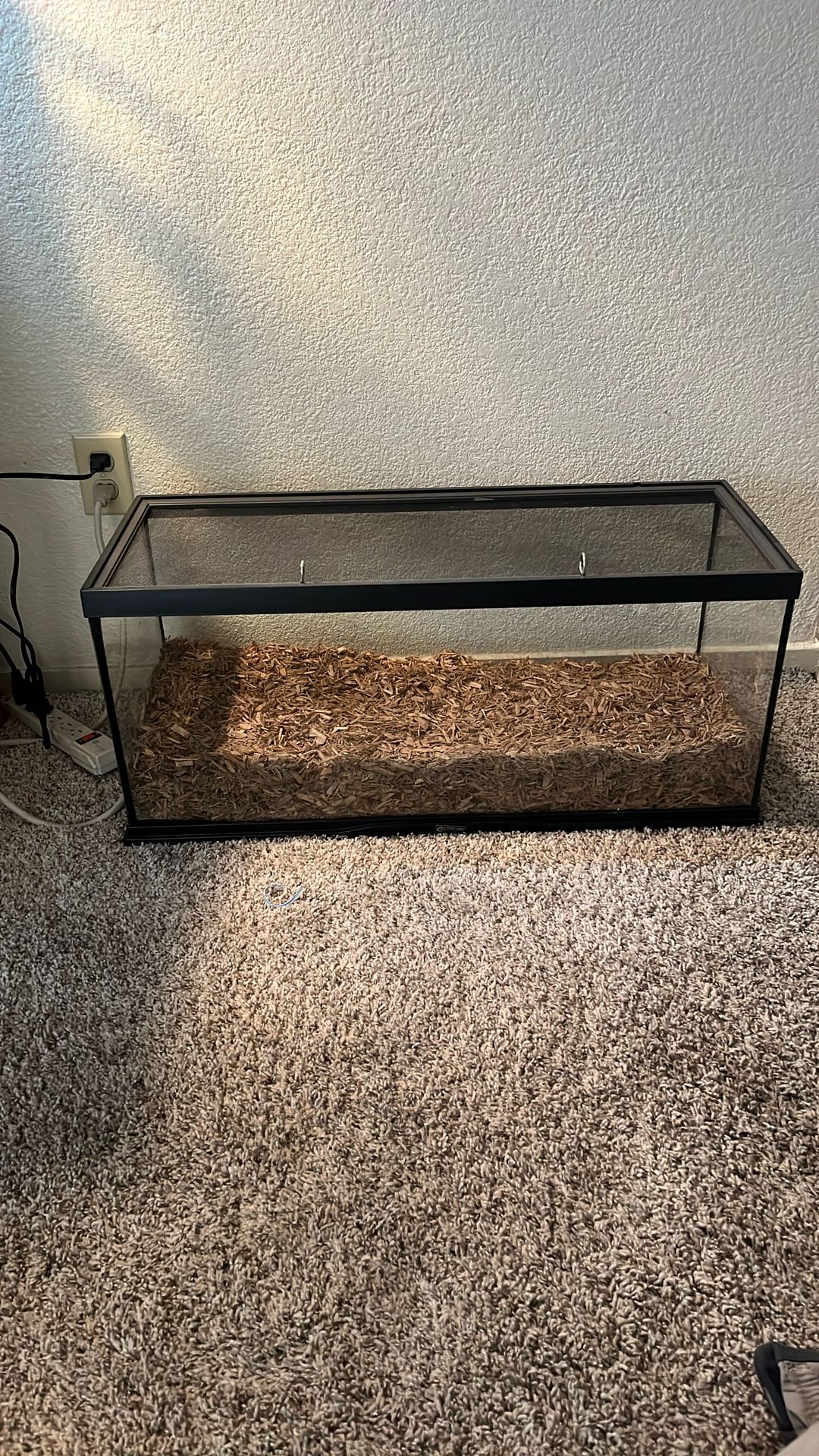 20 Gallon Reptile Tank