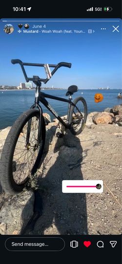 Throne 29er