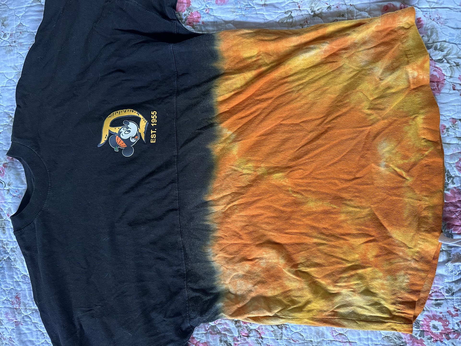 Disneyland Spirit Jerseys & Sweatshirt