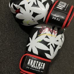 12 Oz Boxing Gloves 
