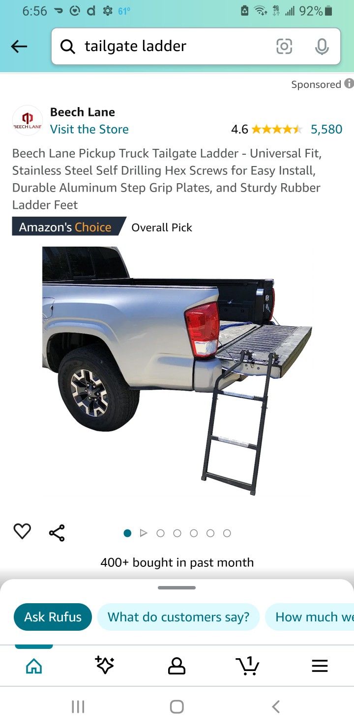 Tailgate Ladder Traxion
