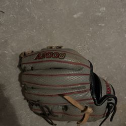 Dustin Pedroia A2000