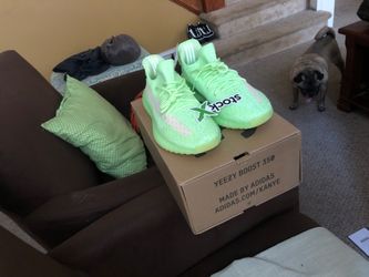 Dog yeezys for best sale sale