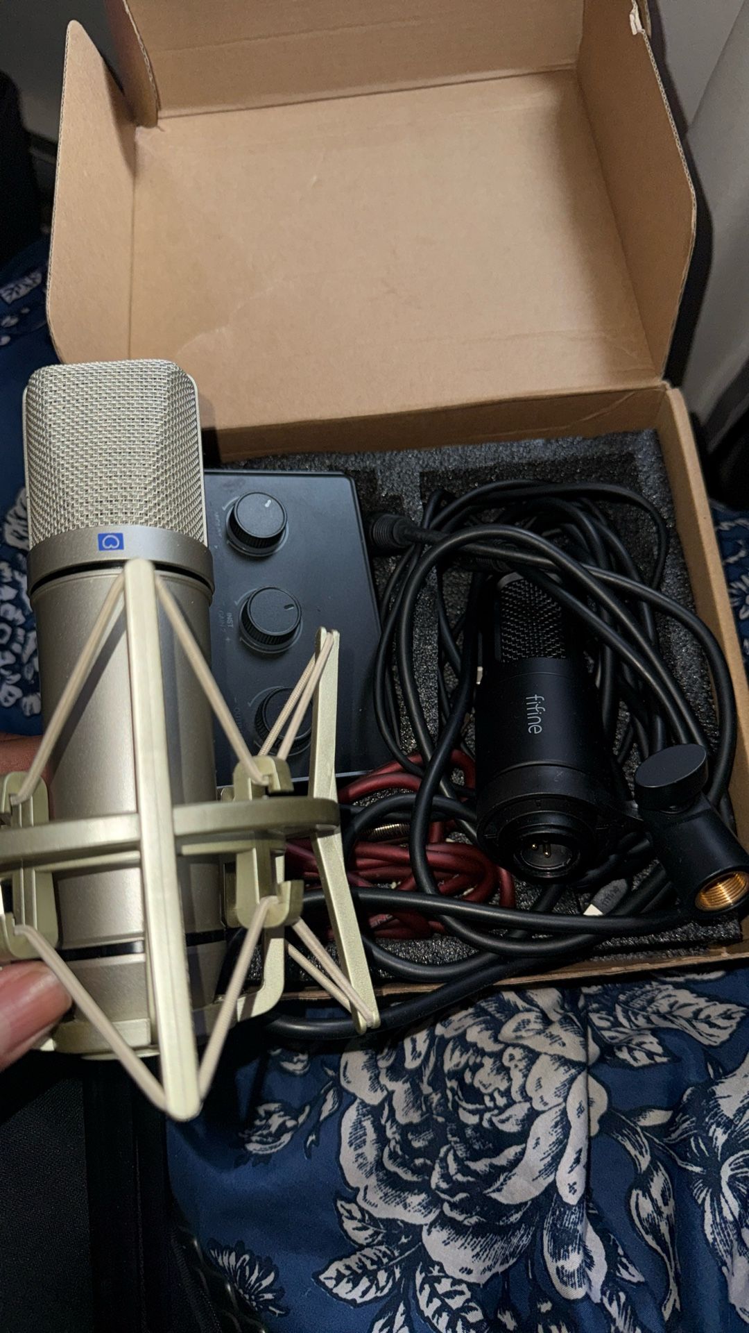 Two Microphones And Audio Interface