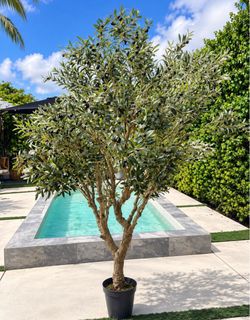 8 FT Luxury Artificial Olive Tree with Olives – Large & Realistic