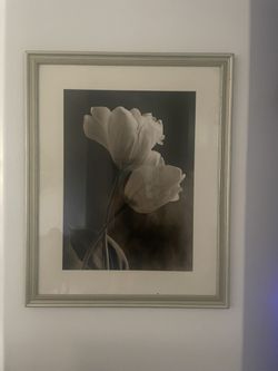 Flower Wall Art